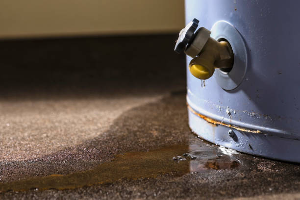 Best Fire Damage Restoration  in Emsworth, PA