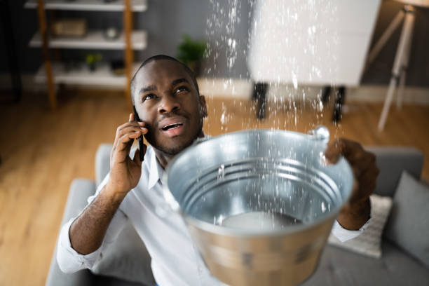 Best Water damage contractors near me  in Emsworth, PA