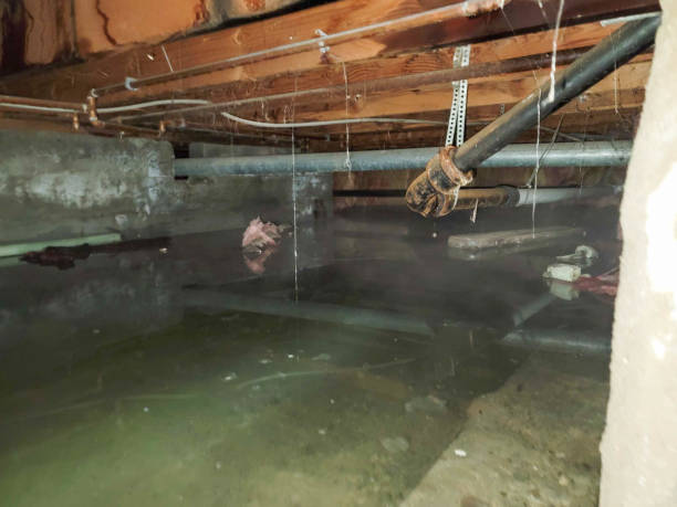 Water damage restoration insurance claims in Emsworth, PA