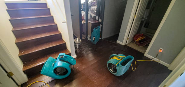 Best Local water damage restoration  in Emsworth, PA