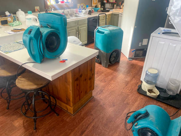  Emsworth, PA Water damage restoration Pros