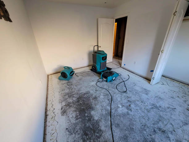 Best Flooded house restoration  in Emsworth, PA