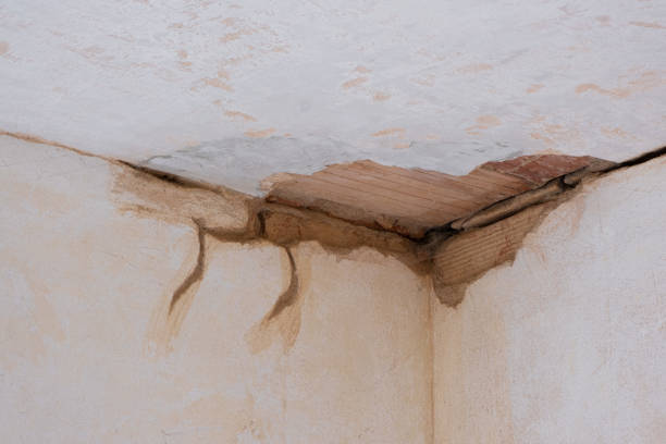Best Local water damage restoration  in Emsworth, PA