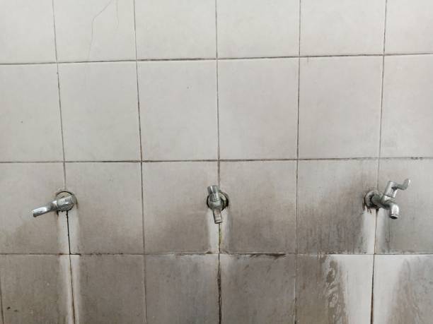 Best 24/7 water damage repair  in Emsworth, PA
