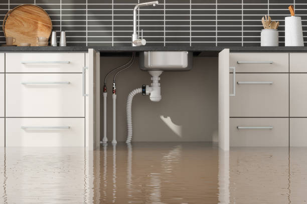 Best Water damage restoration mold remediation  in Emsworth, PA