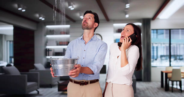 Best Emergency water extraction  in Emsworth, PA